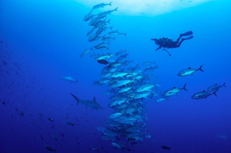 where are the Galapagos Islands located in the Pacific Ocean