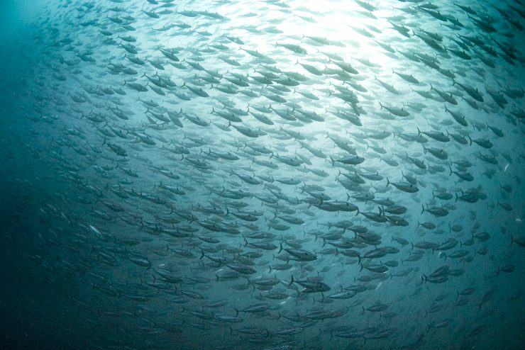 Galapagos archipelago eastern Pacific volcanic origin location