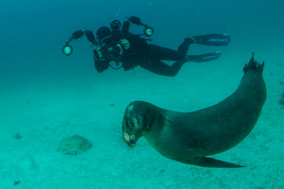 how hard is diving in the Galapagos for certified divers