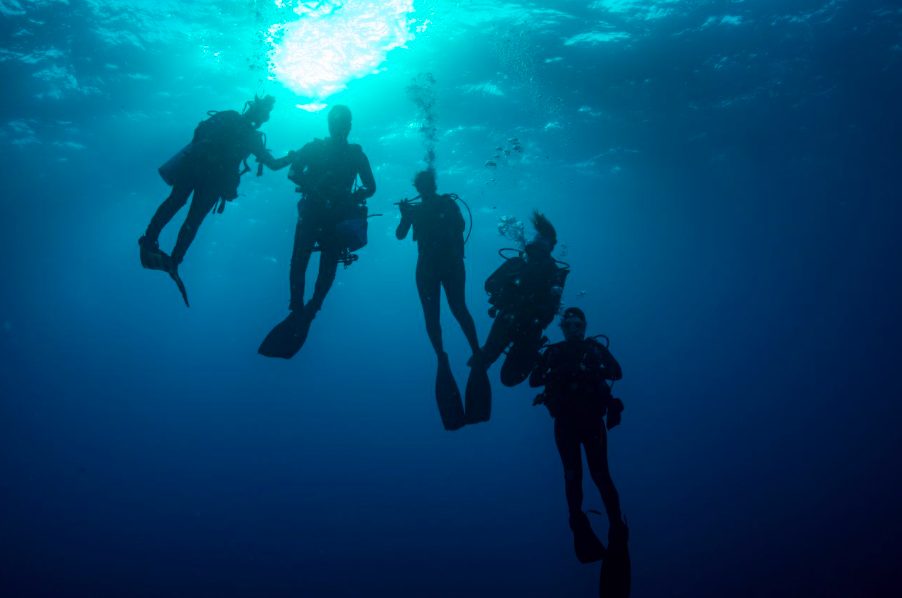 whale shark season Galapagos June to November liveaboard