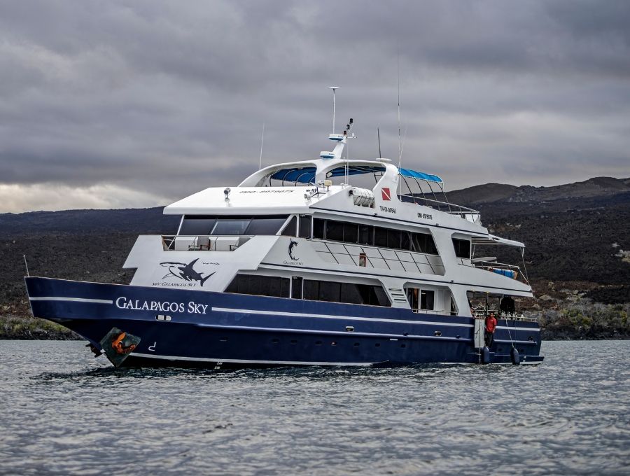 Diving in the galapagos