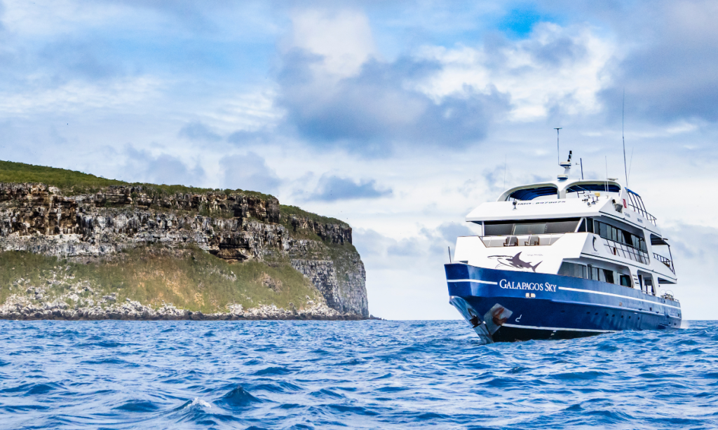 Galapagos liveaboard diving Darwin Wolf beginner guide