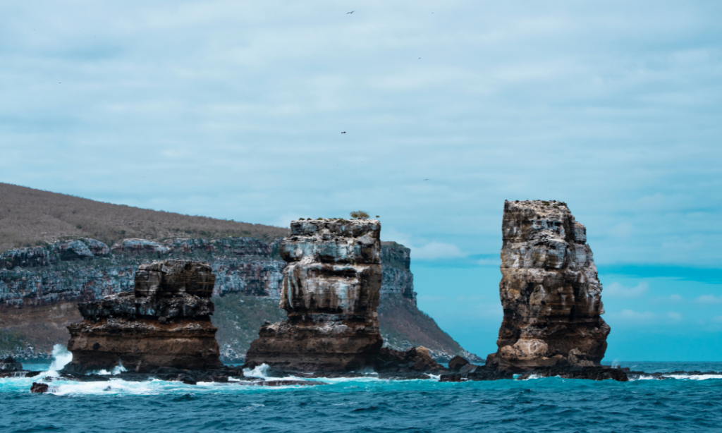 Which Galapagos experience is right for divers liveaboard or hotel