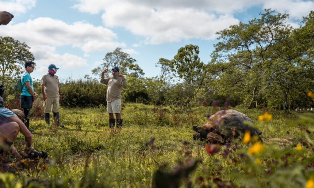 land‑based dive trips Galapagos central islands flexibility