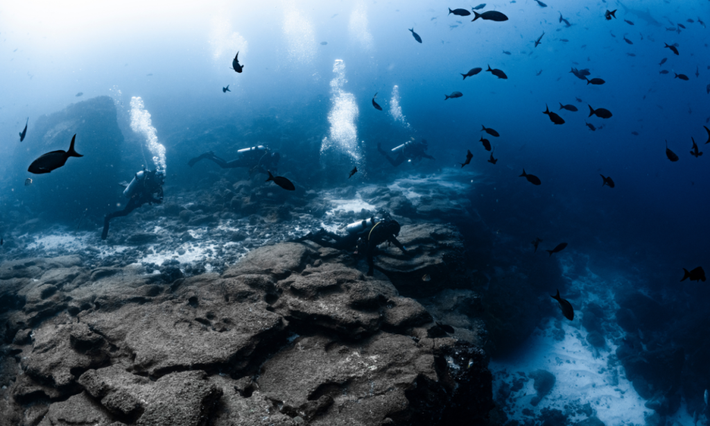 Scuba diving in the remote Galapagos Islands