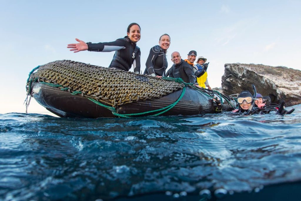 Galapagos Islands top dive sites Darwin Wolf