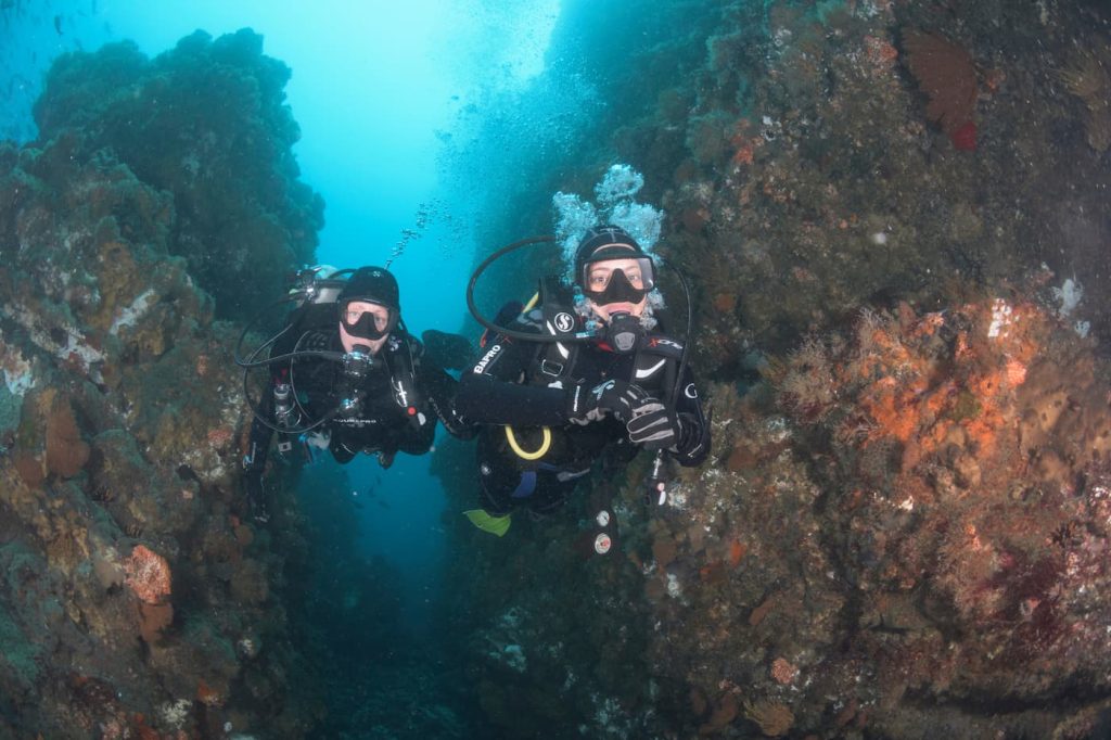 common scuba mistakes in Galapagos