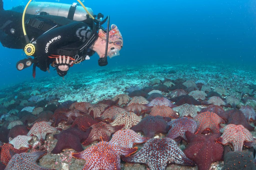 Galapagos diving mistakes