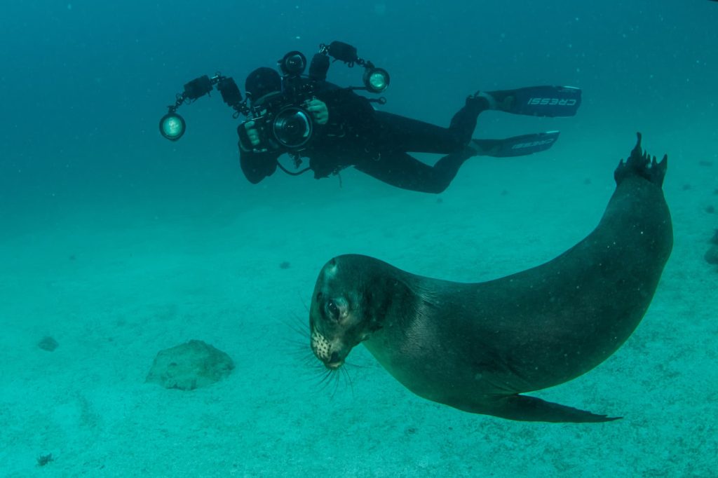 how difficult is diving in Galapagos