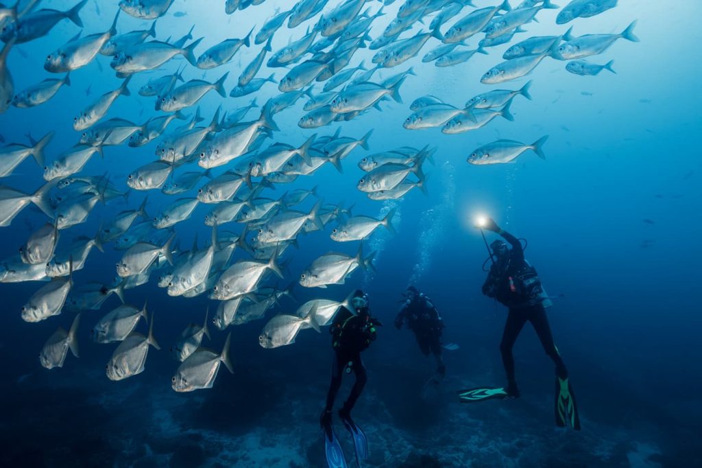 Rebreathers Galapagos