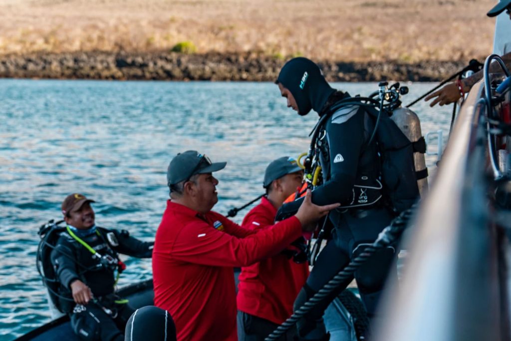 Tips for managing cold water dives on a first Galapagos liveaboard