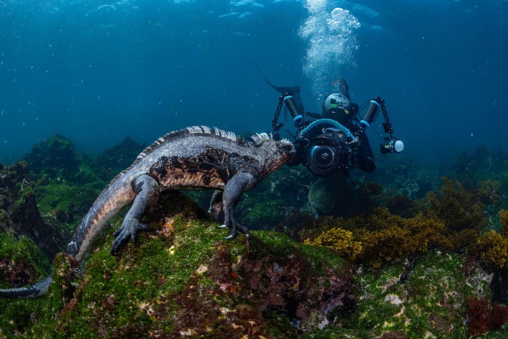 Your First Galapagos Liveaboard: Prep Guides for Divers