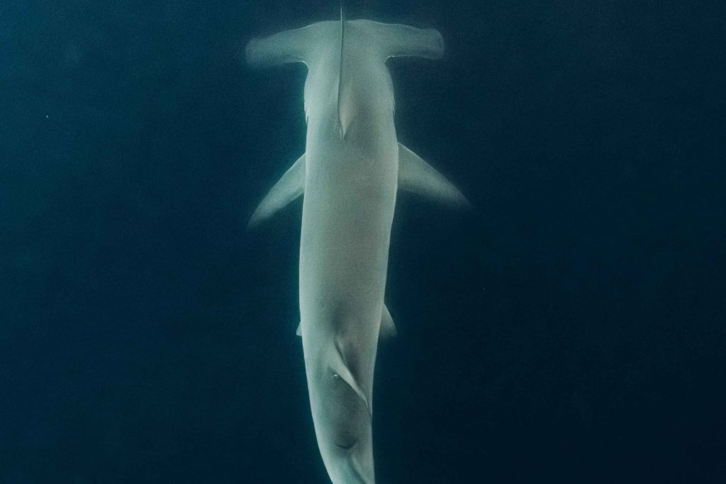 onboard experience aboard Galapagos Sky