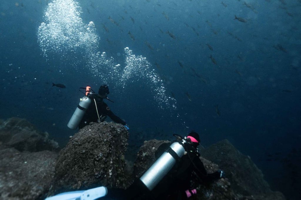 what makes Galapagos Sky liveaboard unique