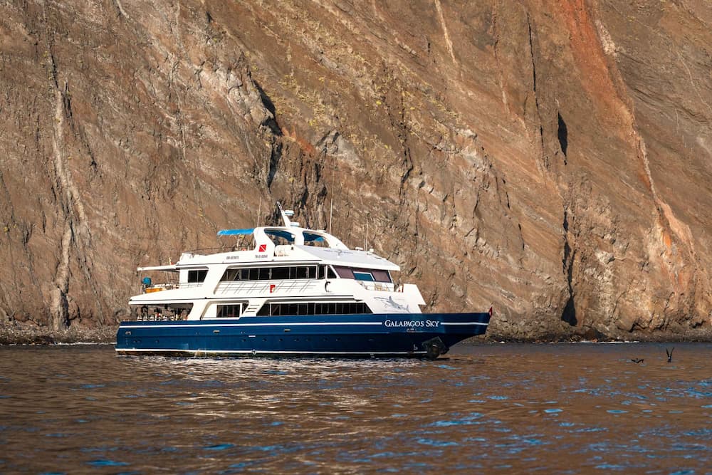 drift diving experience required Galapagos