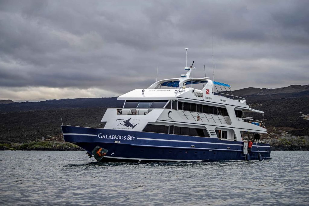 whale shark encounters Galapagos