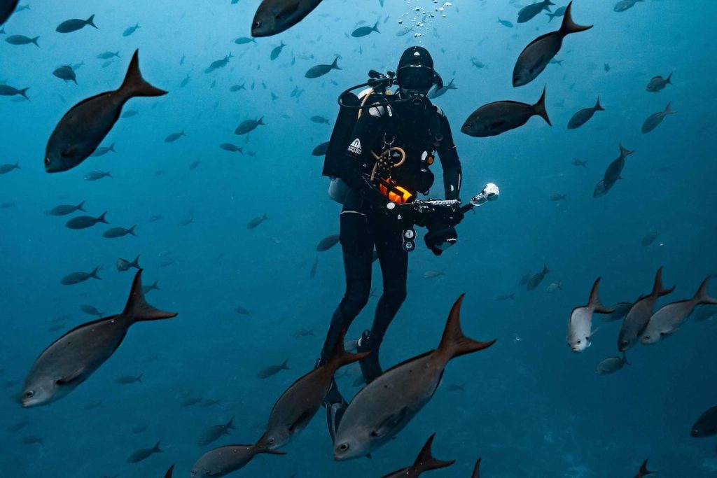 Galapagos Sky liveaboard requirements